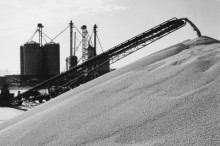 贾宏图:从此天下不缺米之二-父辈的旗帜