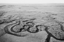 贾宏图:神圣的雁窝岛-父辈的旗帜