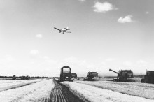 贾宏图:邓小平走进这片田野-父辈的旗帜