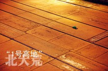 贾宏图:辉煌热土—北大荒纪行-父辈的旗帜