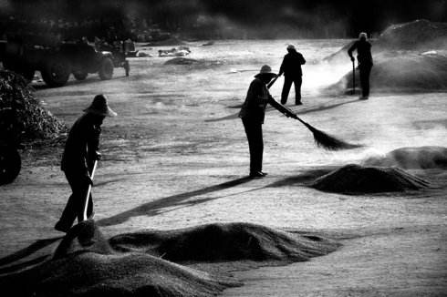 要敏生:北大荒的钟声-父辈的旗帜