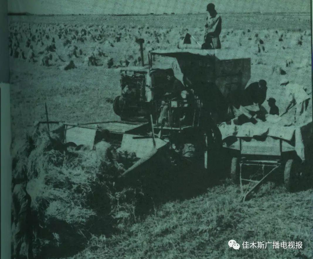 1958年,十万官兵转业到佳木斯开发北大荒 1958年,十万官兵转业到佳木斯开发北大荒