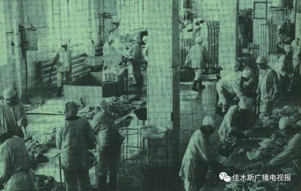 1958年，十万官兵转业到佳木斯开发北大荒