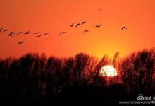 冉冉:北大荒!北大荒!-父辈的旗帜