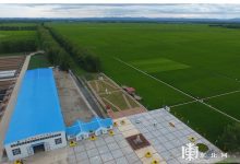 北大荒文化发源地：一日雁窝岛 千年北大荒-父辈的旗帜