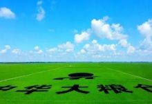 陈晨:弘扬北大荒精神承担责任使命-父辈的旗帜