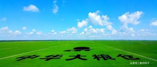 看完这组大片,你就秒懂为什么说“北大荒丰收天下足” 看完这组大片,你就秒懂为什么说“北大荒丰收天下足”