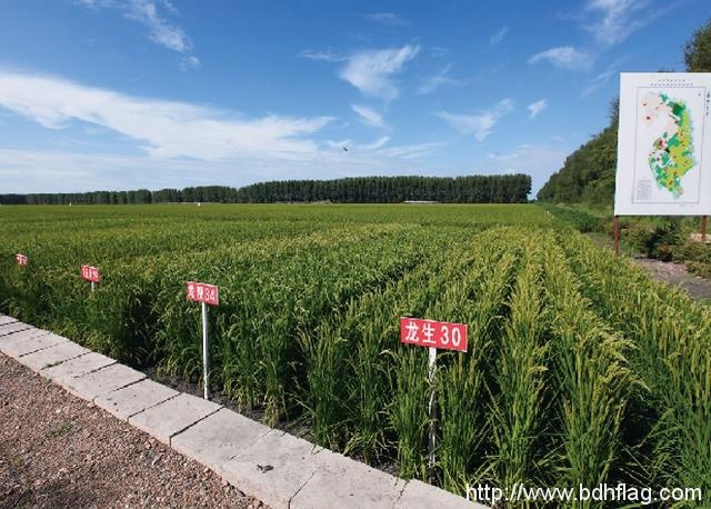 黑龙江境内的一个农场，距离首都1000多公里却是北京的地盘！