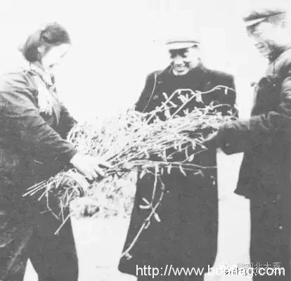 今年清明,央视讲述了这样一个老北大荒人的故事! 今年清明,央视讲述了这样一个老北大荒人的故事!