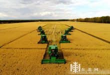 “北大荒精神”七十年历久弥新-父辈的旗帜