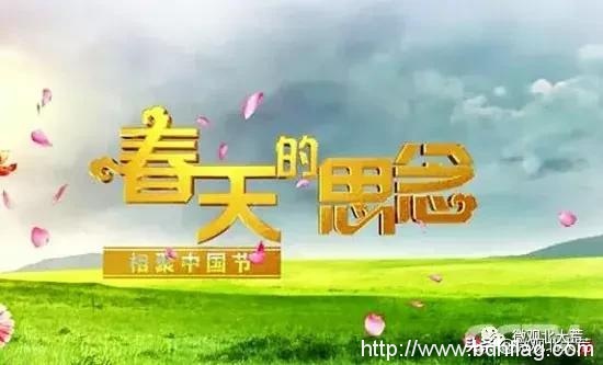 今年清明,央视讲述了这样一个老北大荒人的故事! 今年清明,央视讲述了这样一个老北大荒人的故事!