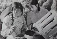 范学新:开发北大荒的流人们 《北大荒六十年》读后-父辈的旗帜