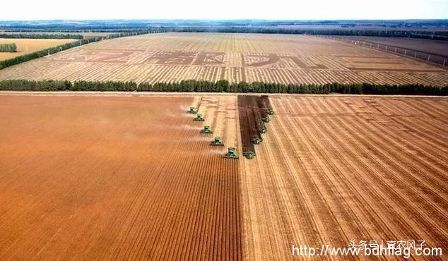 看完这组大片，你就秒懂为什么说“北大荒丰收天下足”