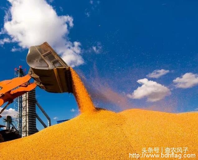 看完这组大片,你就秒懂为什么说“北大荒丰收天下足” 看完这组大片,你就秒懂为什么说“北大荒丰收天下足”