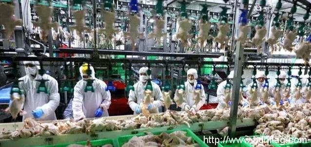 看完这组大片,你就秒懂为什么说“北大荒丰收天下足” 看完这组大片,你就秒懂为什么说“北大荒丰收天下足”