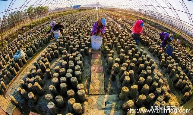 看完这组大片,你就秒懂为什么说“北大荒丰收天下足” 看完这组大片,你就秒懂为什么说“北大荒丰收天下足”