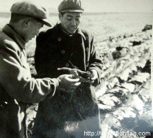 远去的荒火——黑龙江垦区八五二农场五十年代建场初期图片集