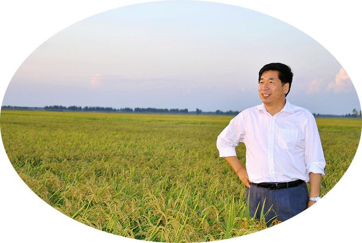 赵国春:北大荒人的情怀写照-父辈的旗帜
