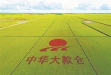 王守聪:用北大荒精神锻造农业航母-父辈的旗帜