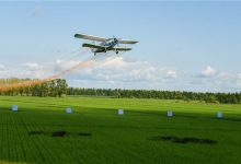 [北大荒品牌]黑龙江北大荒农业股份有限公司-父辈的旗帜