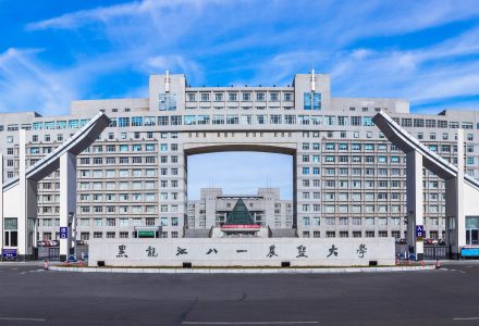 黑龙江日报记者蒋平:八一红星光芒闪耀-父辈的旗帜